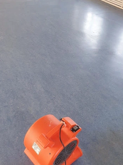 Linoleum Marmoleum blauw na reiniging door Holland Floor Service